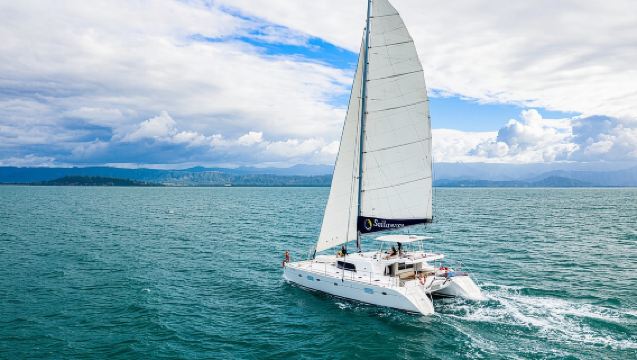 Afternoon Low Isles Snorkelling & Sunset Sail from Port Douglas