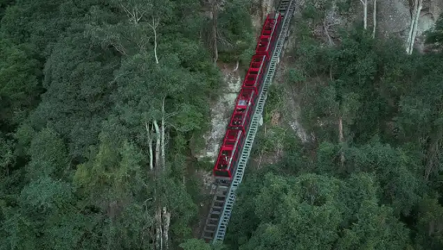 從雪梨出發的藍山小團遊，包含風景世界、雪梨動物園和渡輪
