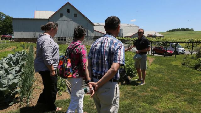 Tour Autentico e Pasto con gli Amish!