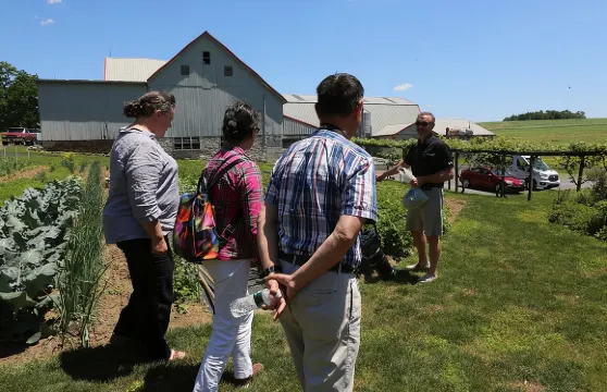 正宗阿米什人導覽及餐飲體驗！