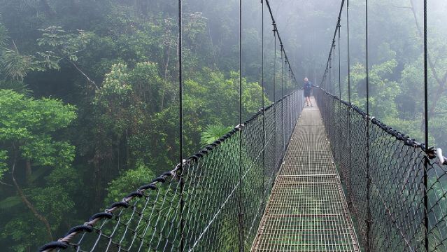 Экскурсия по висячим мостам Мистико с гидом (утро/вечер) и трансфером.