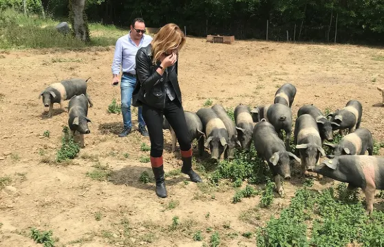 參觀蒙特普爾恰諾的 Cinta Senese 農場