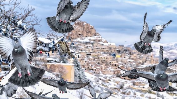 Descubre la ciudad subterránea de Capadocia: Tour privado en Mercedes.