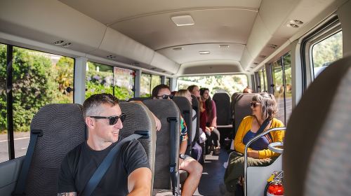 Discover Wellington 3 hour City Tour Day Tours