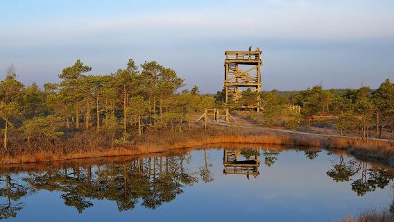 Da Riga: Parco Nazionale di Kemeri e tour di Kuldiga