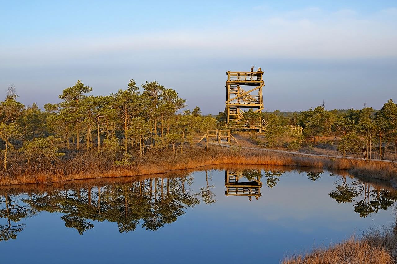 From Riga: Kemeri National Park and Kuldiga Tour