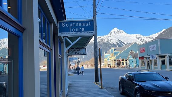 Skagway: Yukon Dog Mushing & Sightseeing Tour