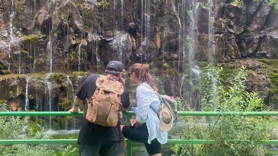 GogasheniTours