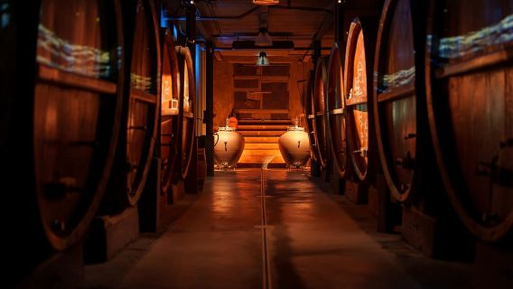 ทัวร์ไวน์คริสต์มาสพร้อมชิมไวน์