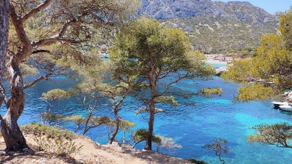 Marsella: Senderismo guiado por el Parque Nacional de las Calanques desde Luminy