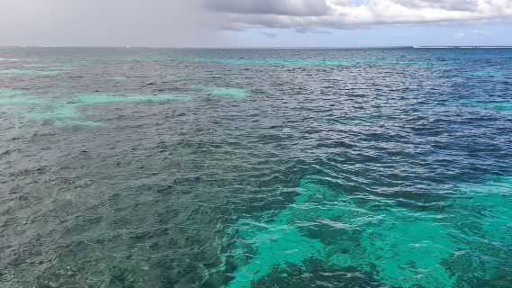 Glass Bottom Nylon Pool Tour in Buccoo Reef