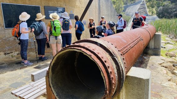 Perth: Senderismo por el valle de Bickley con té matutino