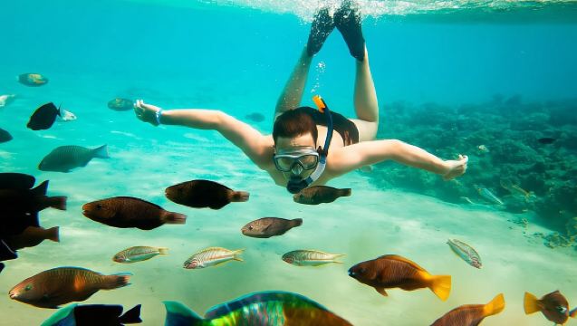 Cabo San Lucas Shopping, Tequila Tasting, and Snorkel Tour