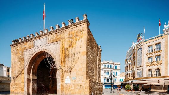 突尼斯｜ 旅遊陪同翻譯｜ 展會｜ 商務考察洽談｜ 自由行地接｜接機 （可私人定制）