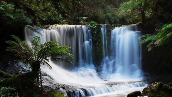 塔斯馬尼亞霍巴特菲爾德山國家公園一日遊【純遊玩丨市區接送】