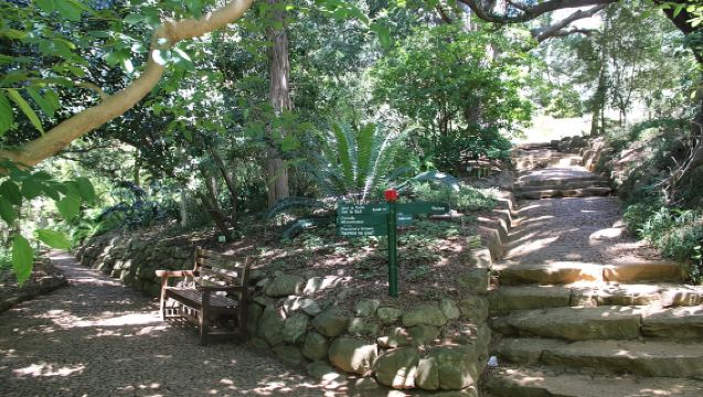 Botanical Garden and Groot Constantia Wineries Private Tour