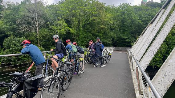 コーク：ハーバー・グリーンウェイ自転車ツアー スタンダードバイク