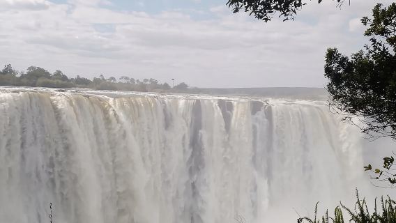 Guided Tour of the Falls