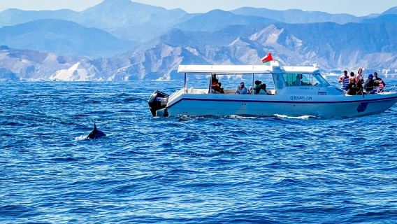 阿曼馬斯喀特一日遊【追逐海豚|一價全包|飯店接駁|中文司機】