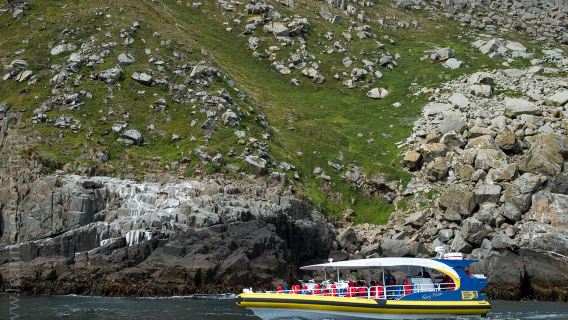 ทัวร์วันเดียว/ทัวร์หลายวัน คาบสมุทรแทสมัน รัฐแทสเมเนีย ประเทศออสเตรเลีย