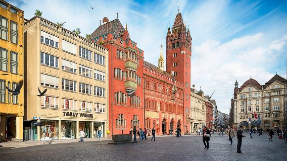 Discover Basel's Charm: Exclusive Private Walking Tour