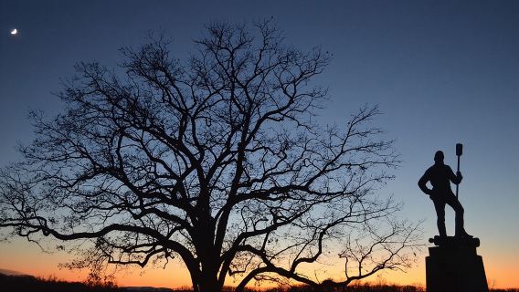 Sangre en el campo de batalla (Para mayores de 16 años)