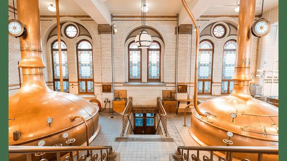 Gray Line Canal Cruise with snackbox & Heineken Experience