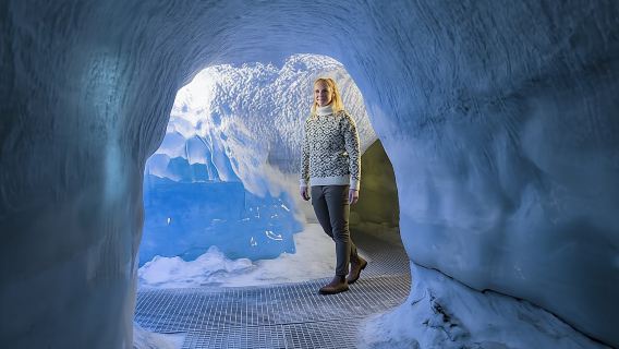Wonders of Iceland and Aurora show at the Perlan