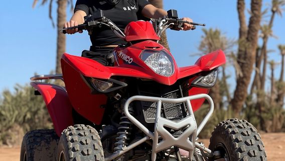 Evening Quad Bike at Palmeraie Area with Tea Tasting from Marrakech