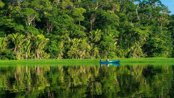 Tortuguero:Canoe tour, day hike, hill tour, night or spawning tour