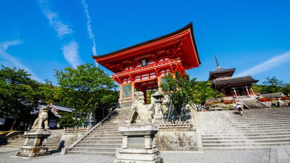 tour di un giorno al Tempio Kiyomizu-dera, Ninnenzaka, Santuario Fushimi Inari, Tempio Todai-ji, Parco Nara, Kyoto, Giappone