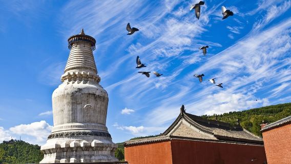 五臺日遊
