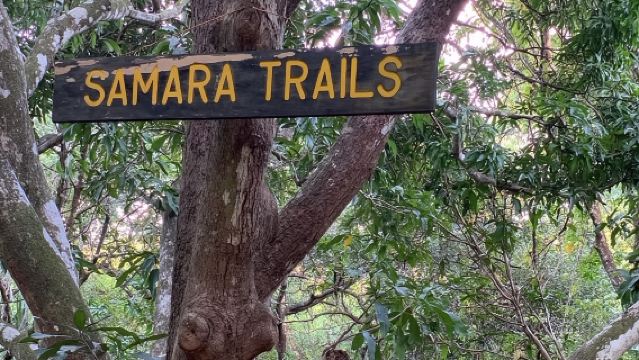 Samara Trails in Werner Sauter Biological Reserve