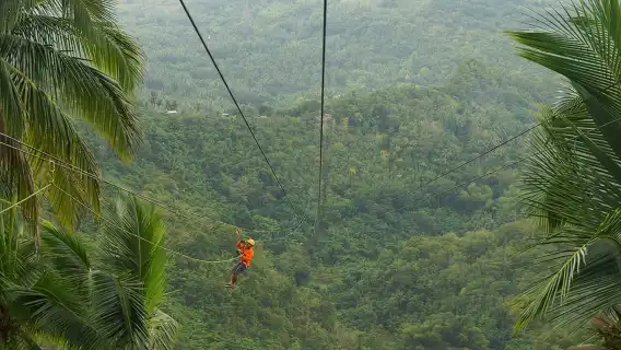 Canyoneering Experience in Kawasan Falls with Lunch