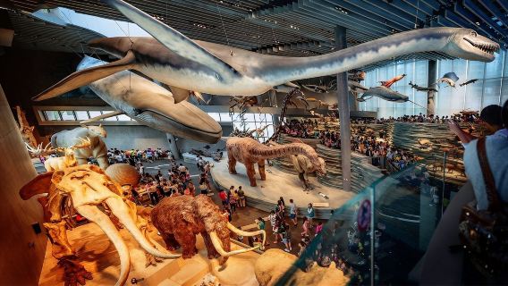 上海自然博物館【猩咖說|包括門票|文史大咖2H拼團精講含耳機