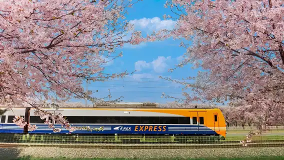 AREX Airport Express