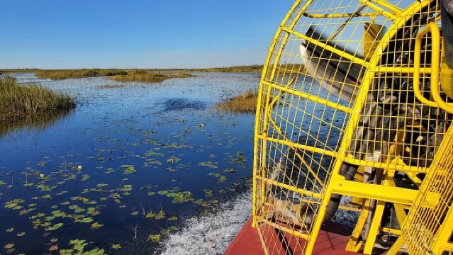 Half-day Everglades National Park Tour and 1-Hour Air Boat Ride