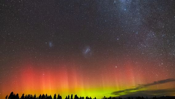 Ngắm sao tại Tekapo Milky Way, New Zealand, Tour nói tiếng Anh cho 10 kính viễn vọng chuyên nghiệp 14 inch