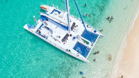 Saona Island Tour From Punta Cana