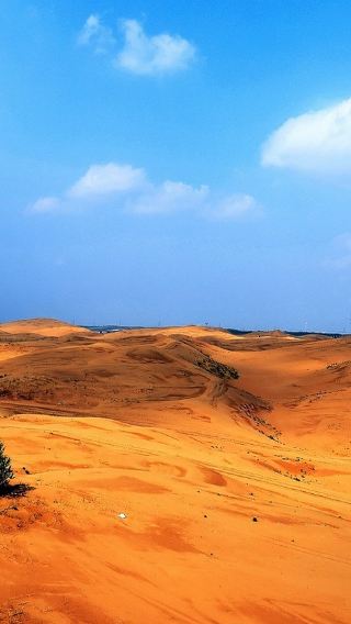 Hohhot Departure: Kubuqi Desert Day Tour (Diverse Desert Activities, Optional Camel Riding Experience)