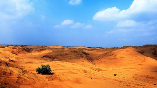 Hohhot Departure: Kubuqi Desert Day Tour (Diverse Desert Activities, Optional Camel Riding Experience)