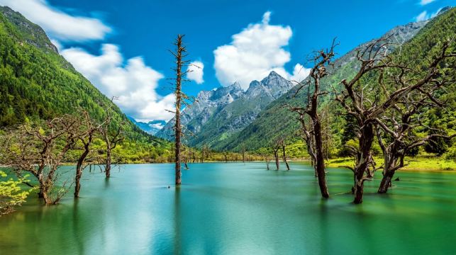 成都-四姑娘山出發 接駁車【2+1豪華保姆】去程·返程可選｜正規車輛·舒適空調/豪華保姆2+1大巴可選