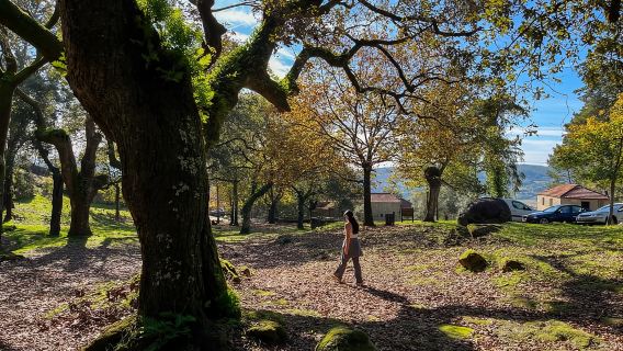 Dari Porto: Jelajah Jejak Air Terjun Hutan & Runtuhan Rom