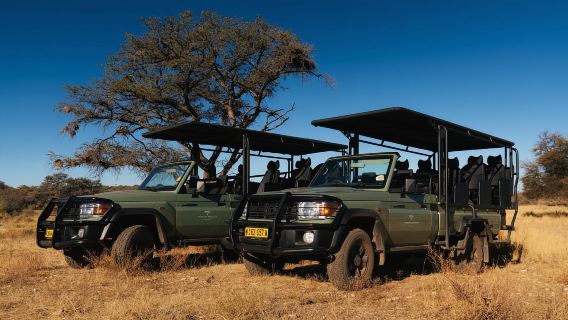 Zannier Game Drive with Hotel Pickup