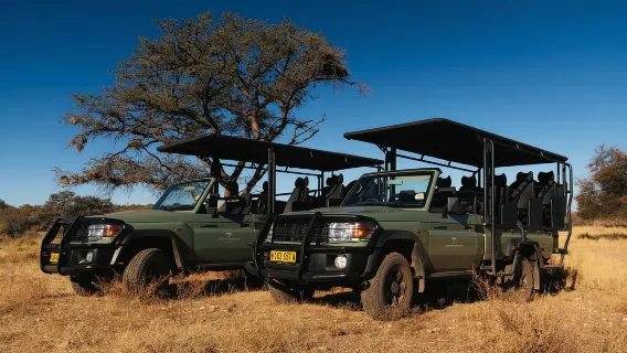 Zannier Game Drive with Hotel Pickup