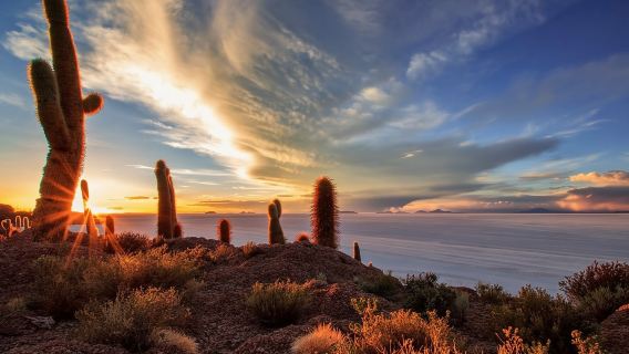 Salar de Uyuni 1 วัน + ถ่ายภาพ + ชมพระอาทิตย์ตก (ภาษาอังกฤษ)