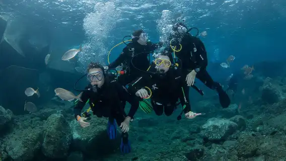 Gran Canaria: Discover Scuba Diving Beginner Program