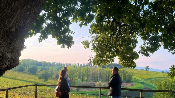 Rom: Assisi, wain Montefalco & Lawatan Sehari Perugia dengan Makan Tengahari