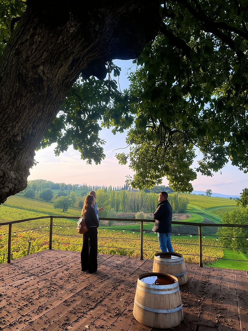 Rome: Assisi, Montefalco wines & Perugia Day Trip with Lunch