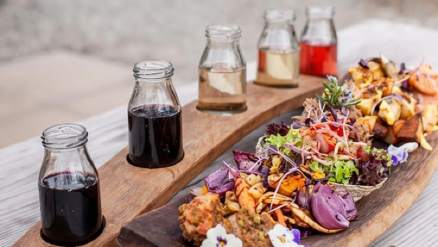 Wanaka : balade en vélo électrique, visite des vignobles et déjeuner combinés